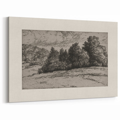 Vintage Landscape Etching - Forest Trees Sketch Canvas