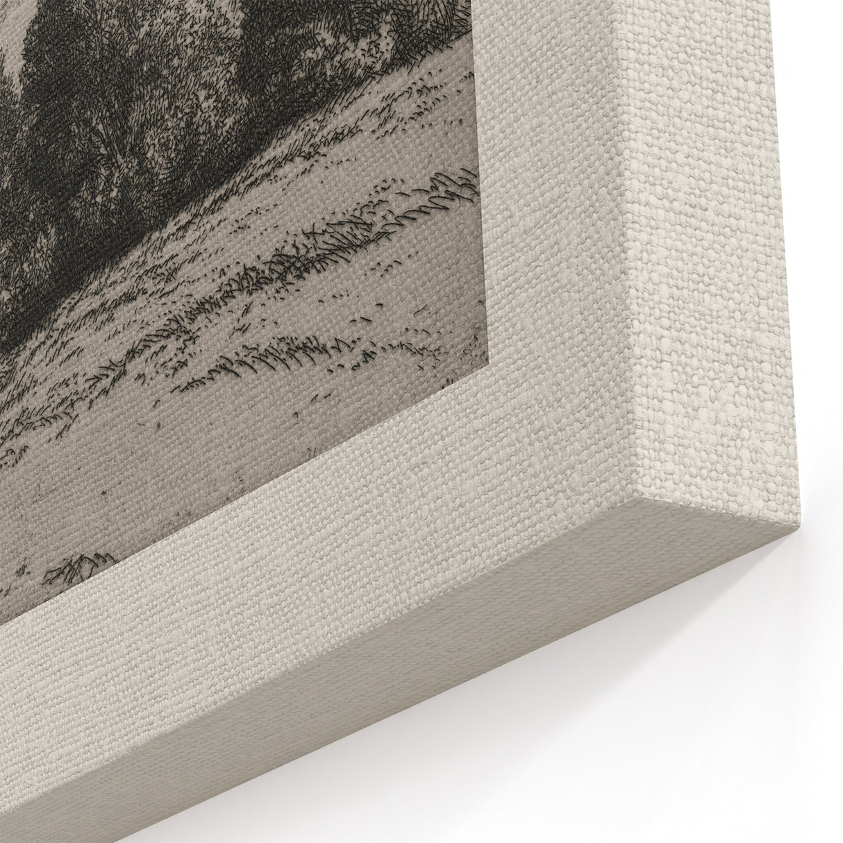 Vintage Landscape Etching - Forest Trees Sketch Canvas