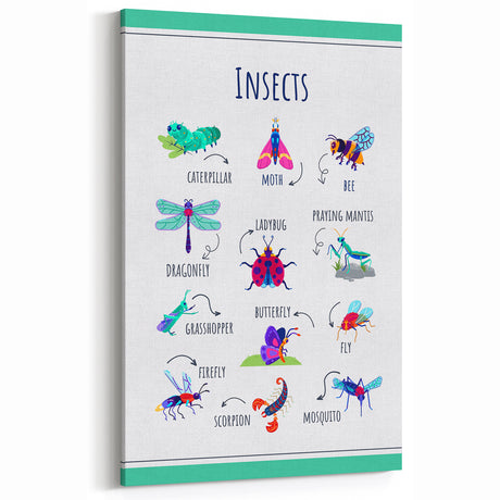 Insects Kids Educational Wall Art – Learning Poster