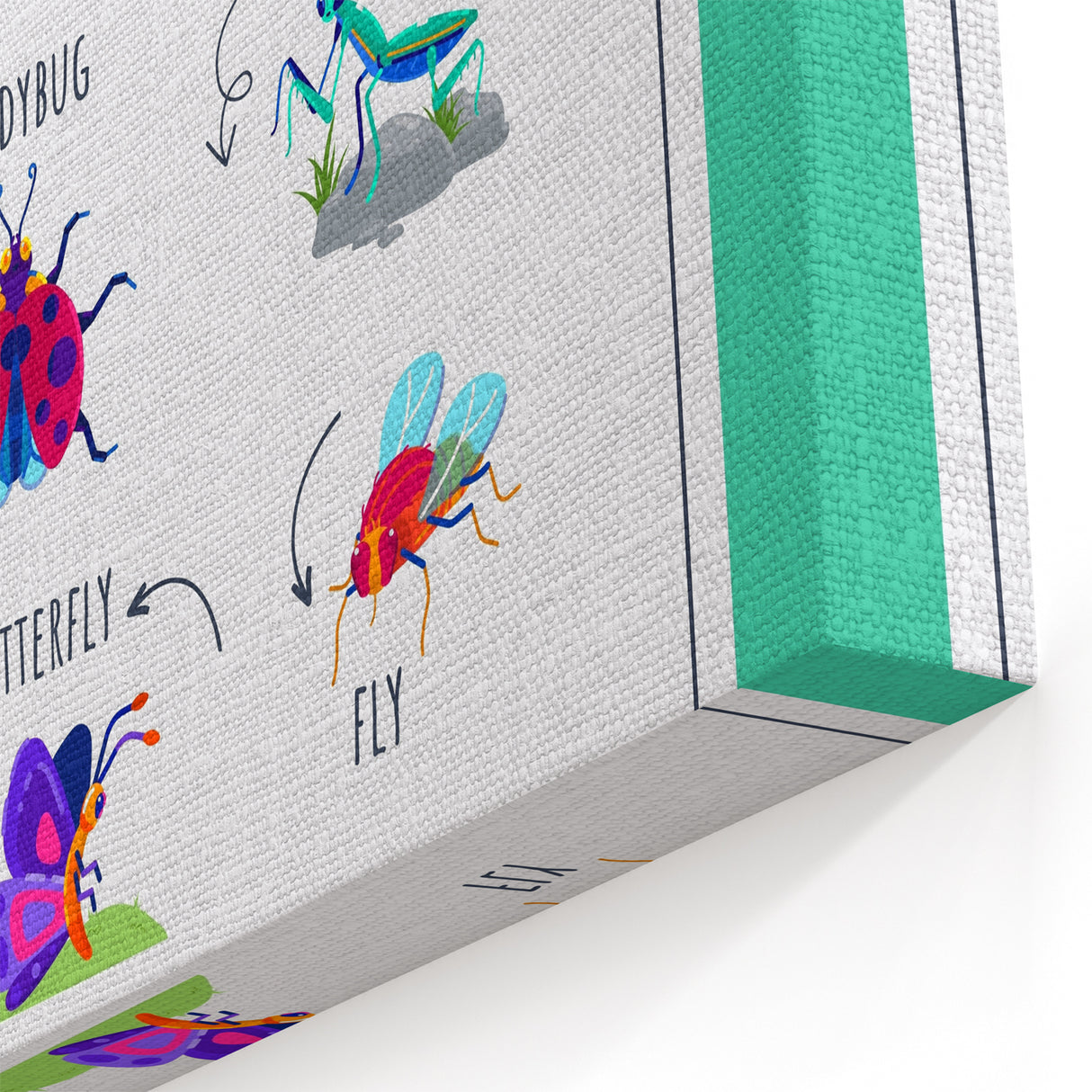 Insects Kids Educational Wall Art – Learning Poster