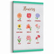 Flowers Chart - Kids Educational Wall Art Botanical Learning Print