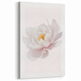Elegant White Peony Floral Print - Girls Bedroom Wall Art