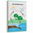 Classroom Educational Posters - The Water Cycle Learning Print