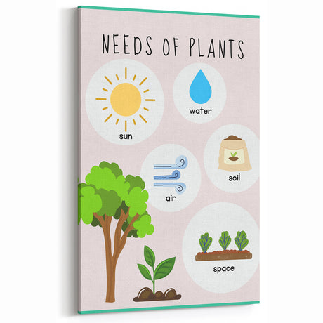 Kids' Room Educational Decor - Needs of Plants Learning Poster