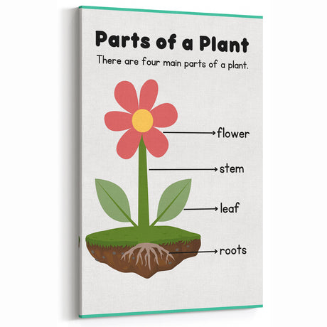 ABC Alphabet Canvas Art - Parts of a Plant Kids Learning Print