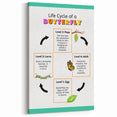Kids Educational Wall Art - Life Cycle of a Butterfly Poster