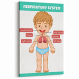 STEM Learning Wall Art - Respiratory System Educational Chart