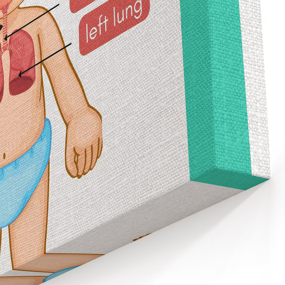 STEM Learning Wall Art - Respiratory System Educational Chart