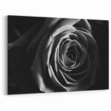 Black & White Rose Wall Art - Modern Monochrome Living Room Décor