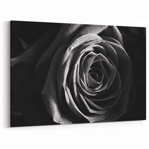 Black & White Rose Wall Art - Modern Monochrome Living Room Décor