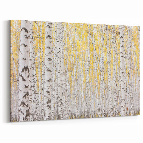 Serene Birch Forest Wall Art – Nature Canvas for Living Room