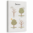 Seasons Kids Educational Wall Art - Learning Poster for Classrooms