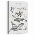 Ocean Life Kids Educational Wall Art - Learning Poster for Classrooms