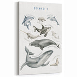 Ocean Life Kids Educational Wall Art - Learning Poster for Classrooms