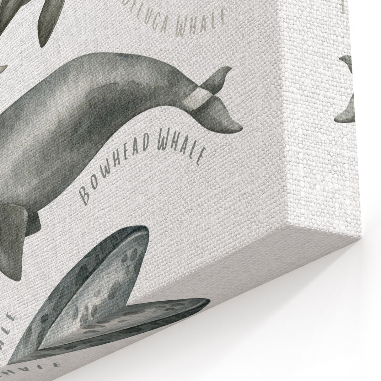 Ocean Life Kids Educational Wall Art - Learning Poster for Classrooms