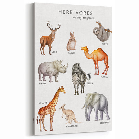 Herbivores Kids Educational Wall Art - Learning Poster for Classrooms