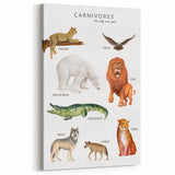 Carnivores Kids Educational Wall Art - Learning Poster for Classrooms
