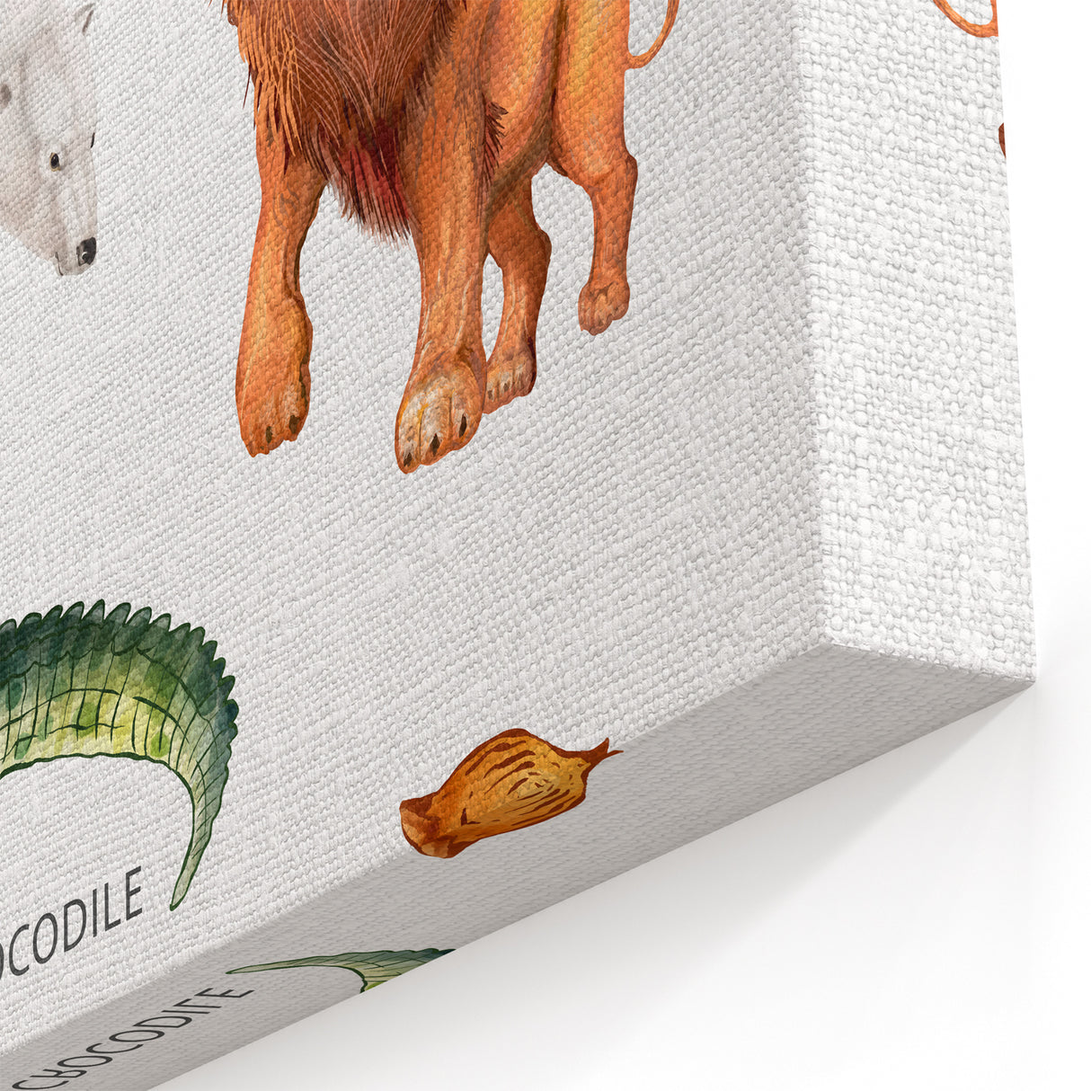 Carnivores Kids Educational Wall Art - Learning Poster for Classrooms