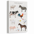 Farm Animals Kids Educational Wall Art - Learning Poster for Classrooms