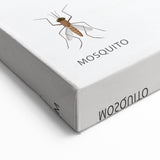 Insects Kids Educational Wall Art - Learning Poster for Classrooms