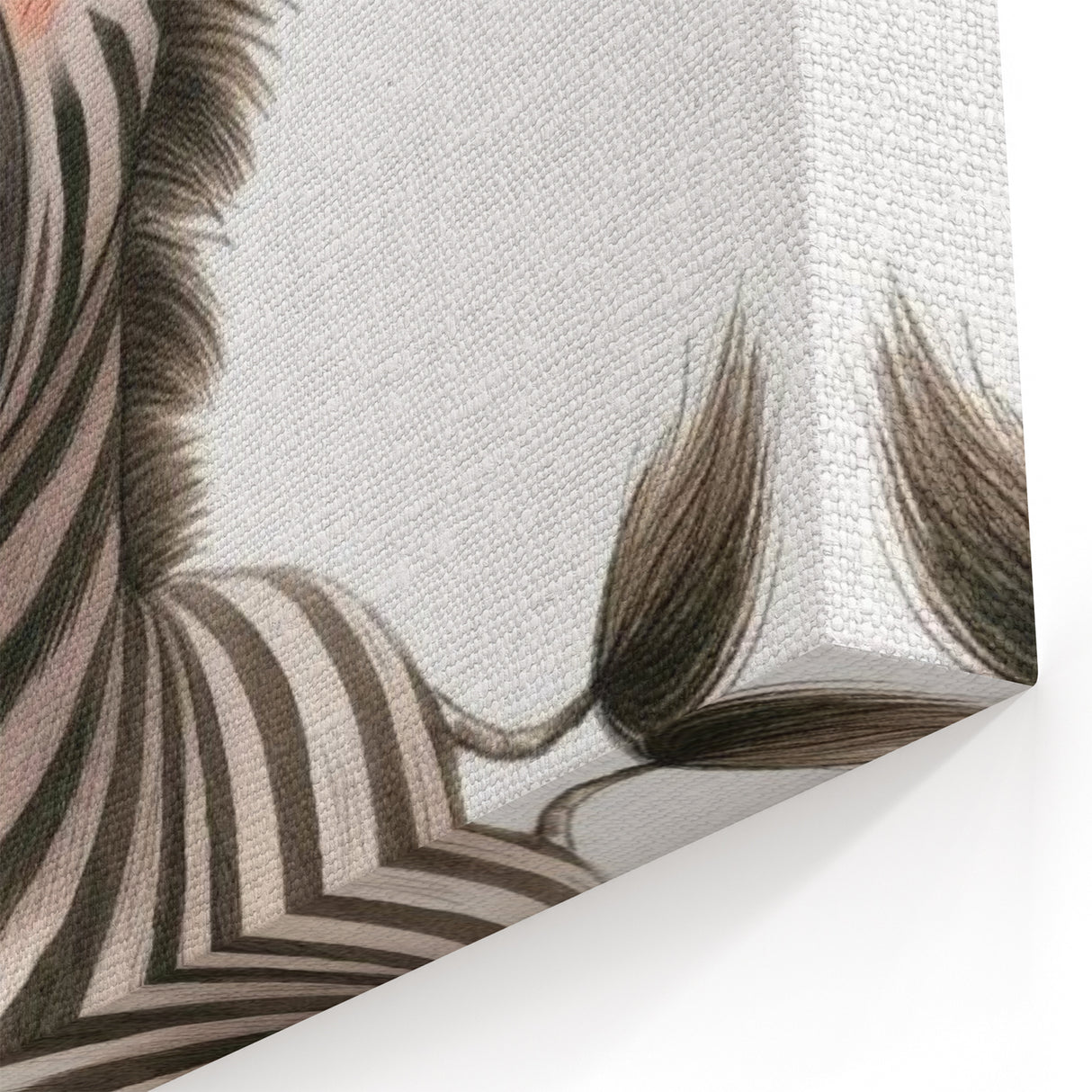 Adorable Zebra Girls Room Wall Art - Playful Nursery Animal Print