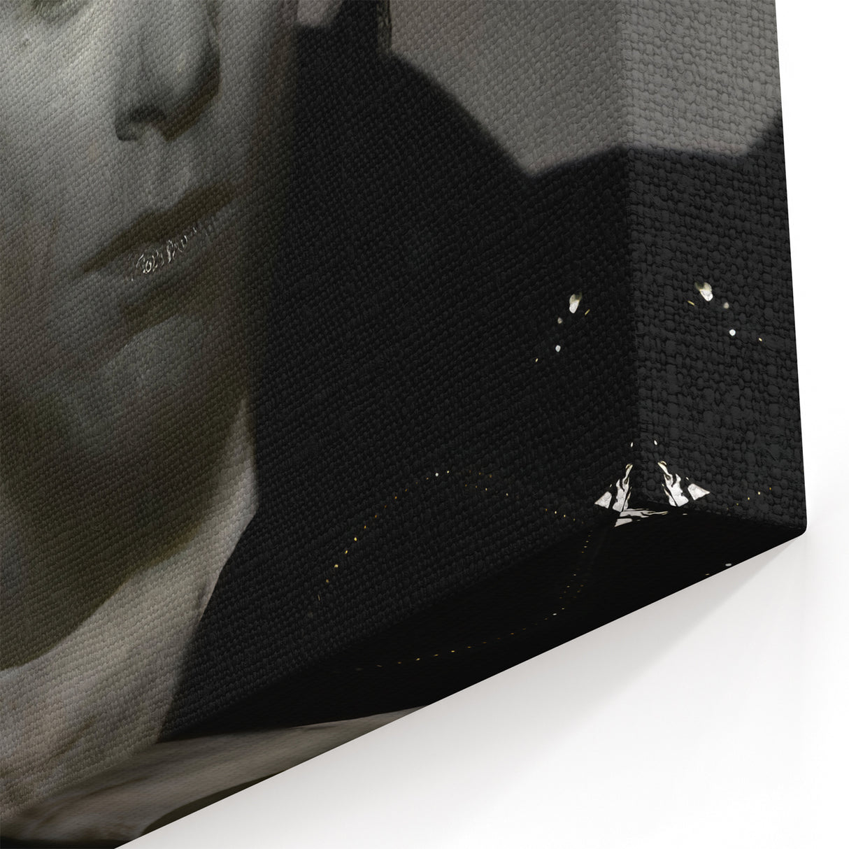 Retro Wall Art – Bryan Adams Reckless Album Canvas Print