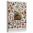 Vintage Mollusques Illustration - Nature Elements Wall Art Print