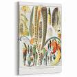 Vintage Plumes and Birds Illustration - Nature Elements Wall Art