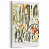 Vintage Plumes and Birds Illustration - Nature Elements Wall Art