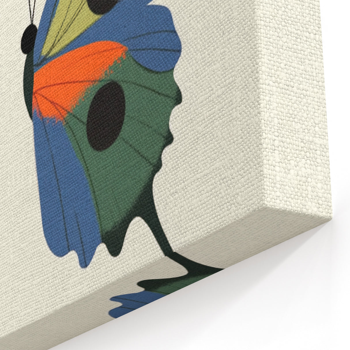 Colorful Butterfly Nursery Wall Art - Kids Room Art Prints