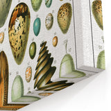 Vintage Egg Illustrations - Nature Elements Wall Art Print