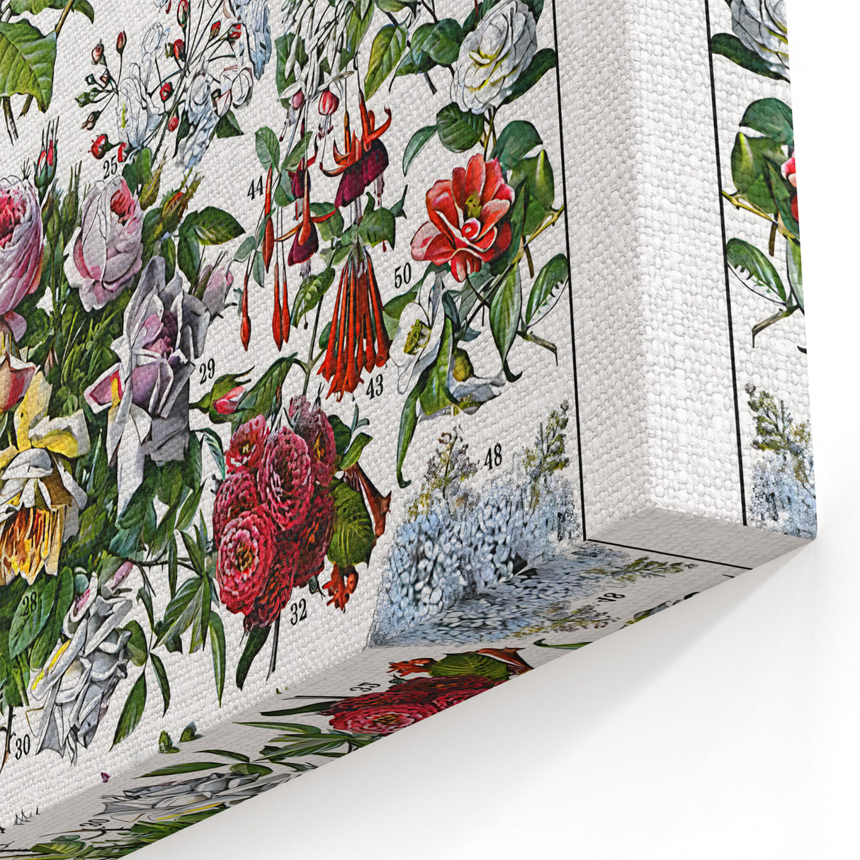 Vintage Floral Illustration - Nature Elements Wall Art Print