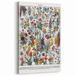 Vintage Floral Illustration - Nature Elements Wall Art Print