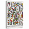 Vintage Floral Illustration - Nature Elements Wall Art Print