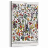 Vintage Floral Illustration - Nature Elements Wall Art Print