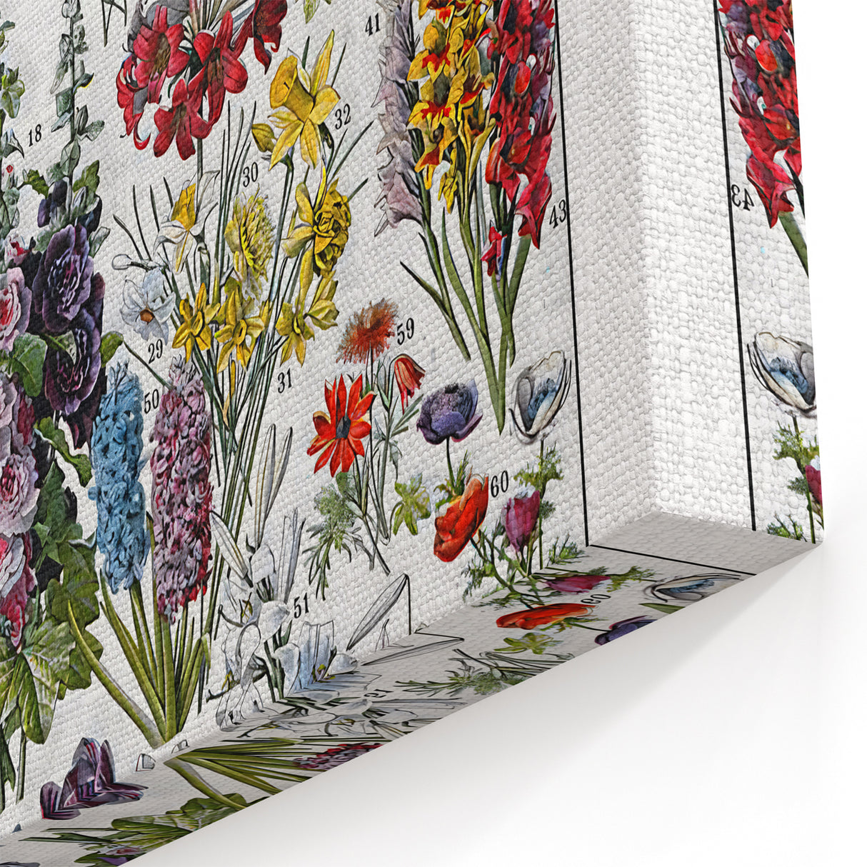 Vintage Floral Illustration - Nature Elements Wall Art Print