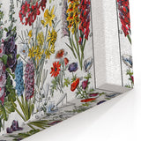 Vintage Floral Illustration - Nature Elements Wall Art Print