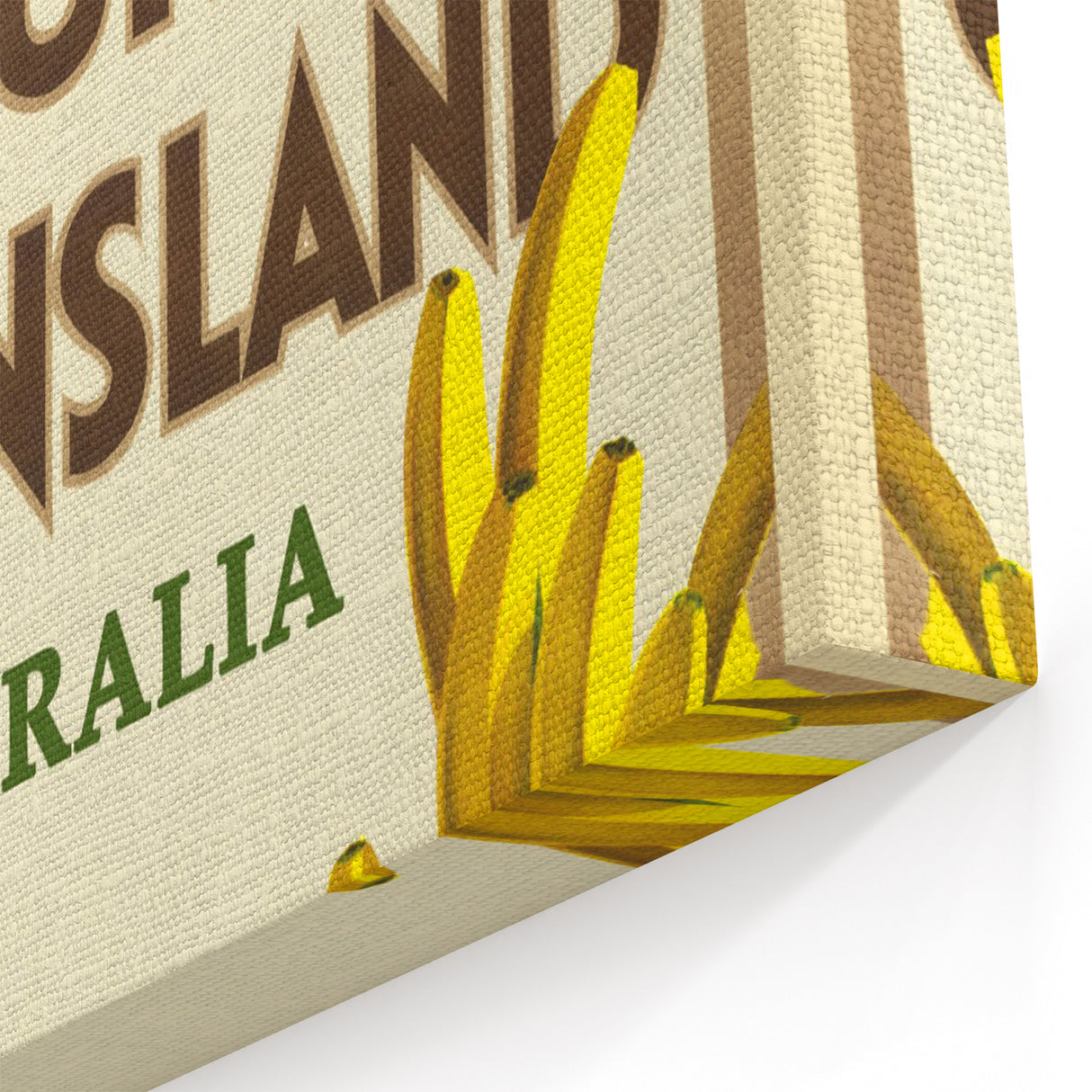 Colourful Queensland Retro Travel Poster | Tropical Fruit & Flowers Art