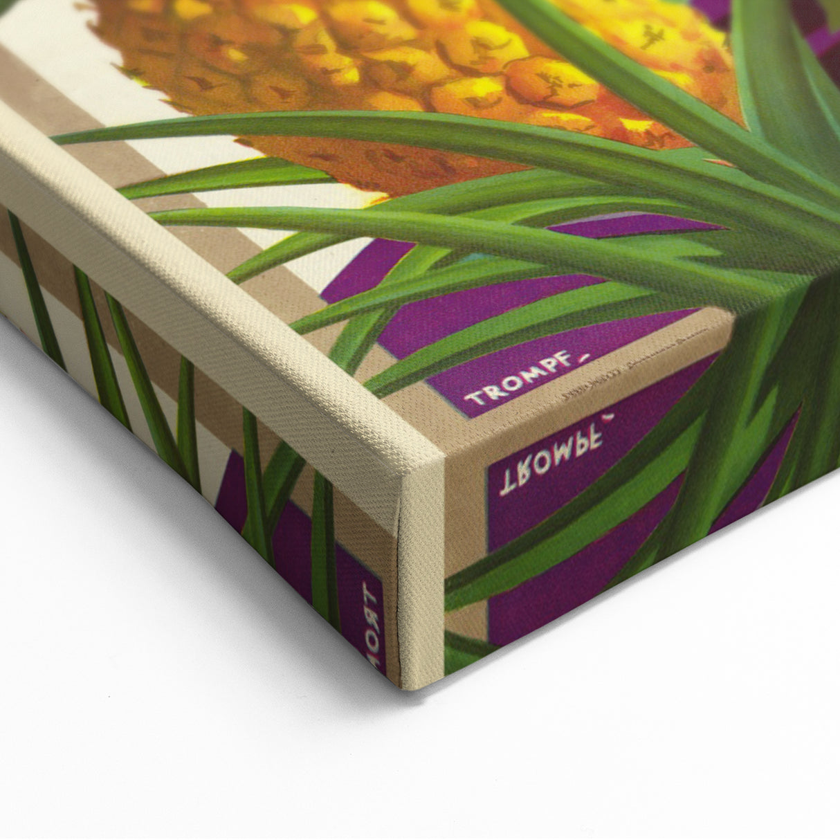 Colourful Queensland Retro Travel Poster | Tropical Fruit & Flowers Art
