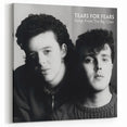 Retro Tears for Fears Songs from the Big Chair Poster - Vintage Art