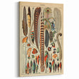 Vintage Bird Feathers Illustration - Nature Elements Wall Art Print