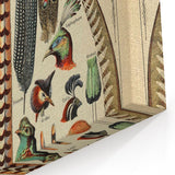 Vintage Bird Feathers Illustration - Nature Elements Wall Art Print