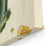 Vintage Botanical Illustration of Cactus Flower Art Print