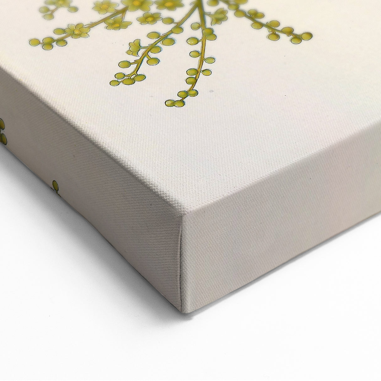 Vintage Botanical Illustration of Anamirta paniculata Art Print