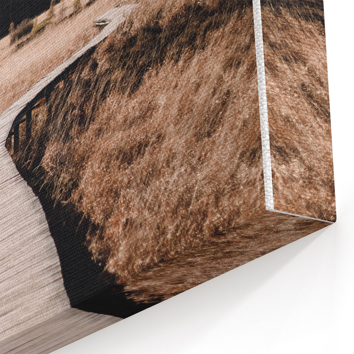 Serene Autumn Wall Art - Fall Canvas Art with Wooden Pathway