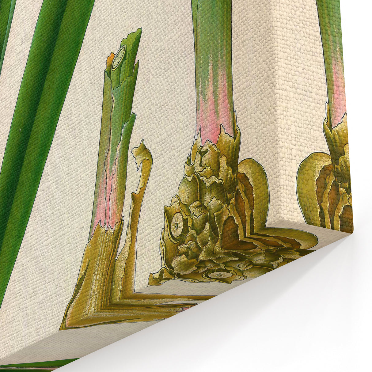 Botanical Art Prints - Vintage Alpinia Officinarum Illustration Art