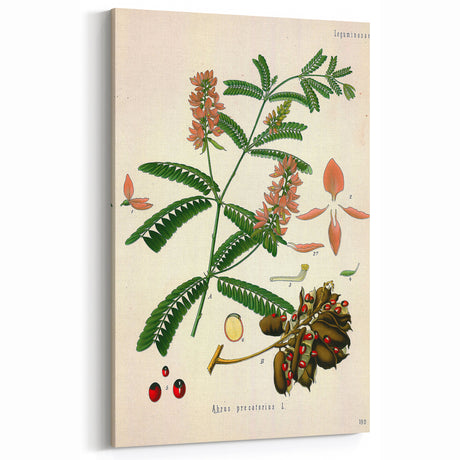 Vintage Botanical Art Print – Elegant Floral Wall Decor