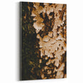 Textured Tree Bark Fall Wall Art – Rustic Autumn Canvas Print
