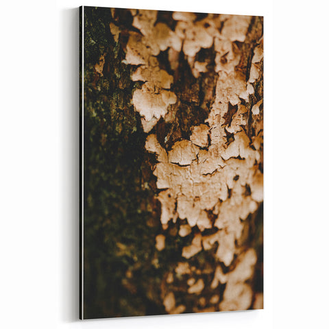 Textured Tree Bark Fall Wall Art – Rustic Autumn Canvas Print