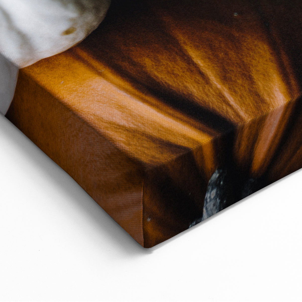 Harvest Pumpkin Collection Fall Wall Art – Autumn Canvas Print